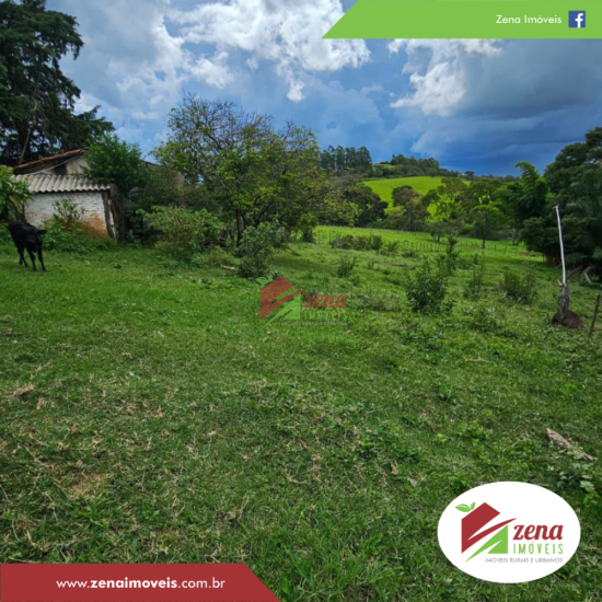 sitio-venda-formiga-1081515