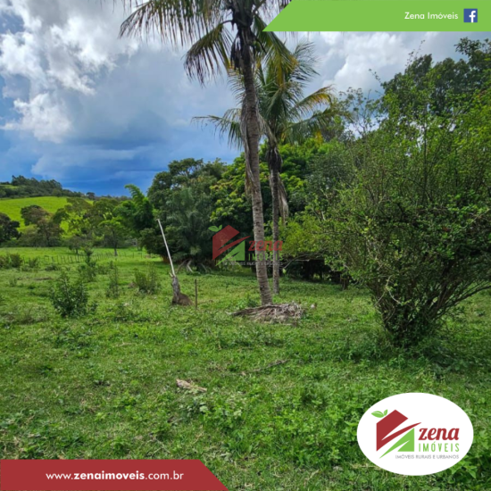 sitio-venda-formiga-1081516