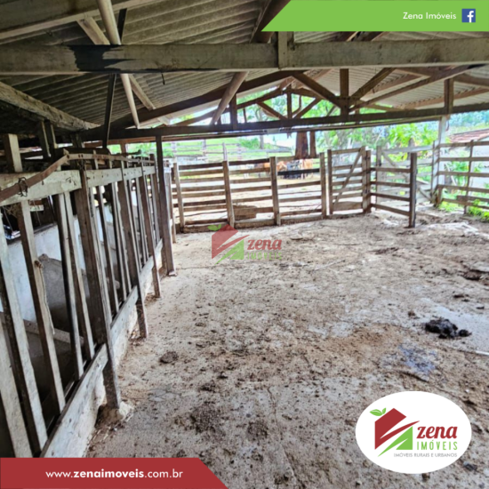 sitio-venda-formiga-1081517