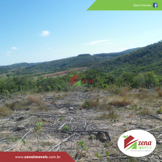 fazenda-venda-formiga-1065417