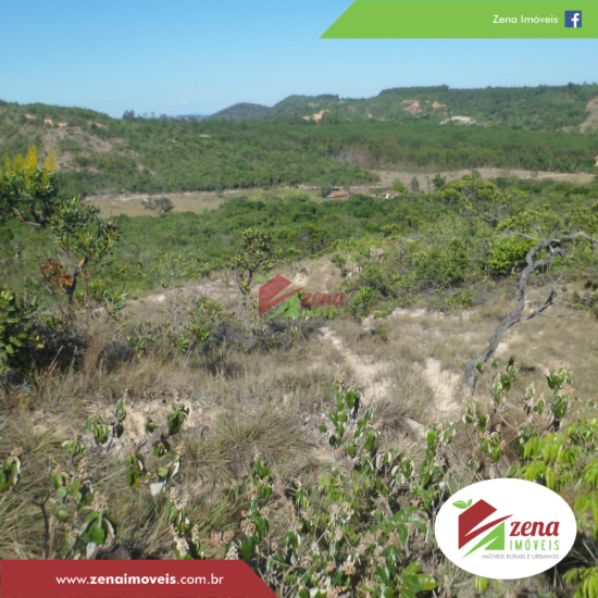 fazenda-venda-formiga-1065426