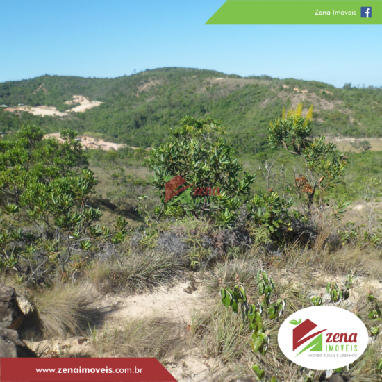 fazenda-venda-formiga-1065427