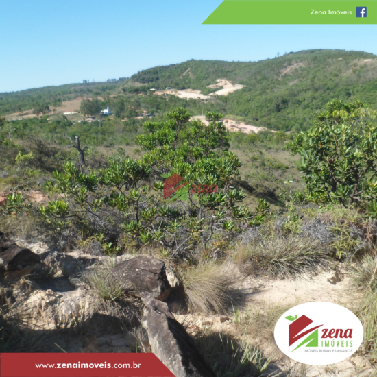 fazenda-venda-formiga-1065428