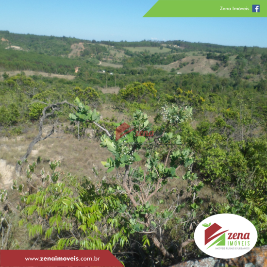 fazenda-venda-formiga-1065429