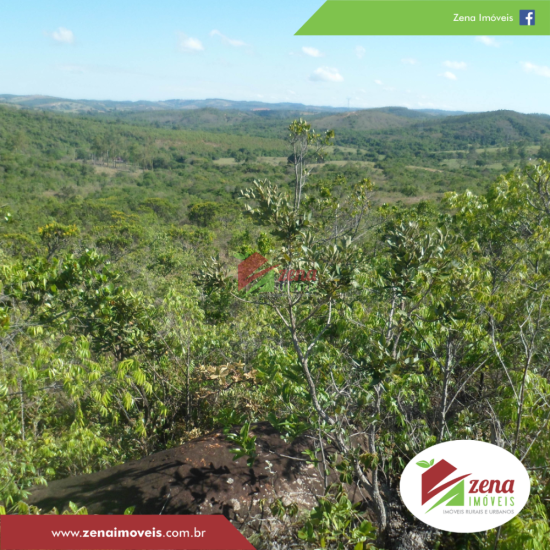 fazenda-venda-formiga-1065430