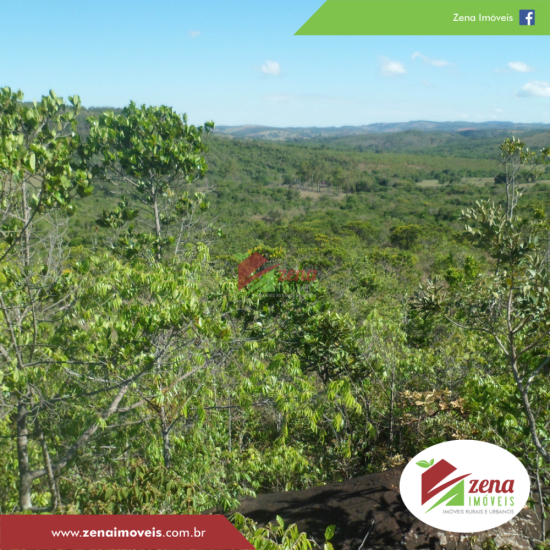 fazenda-venda-formiga-1065431