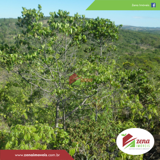 fazenda-venda-formiga-1065432