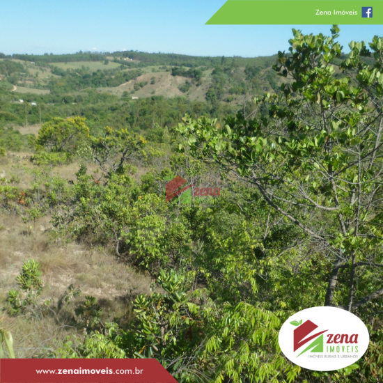 fazenda-venda-formiga-1065433