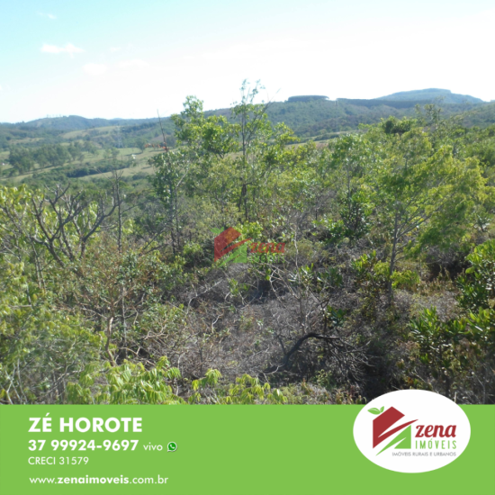 fazenda-venda-formiga-1065434