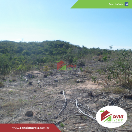 fazenda-venda-formiga-1065419