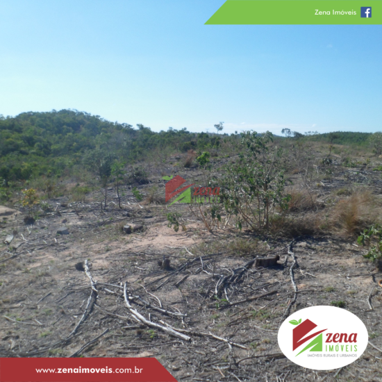 fazenda-venda-formiga-1065420