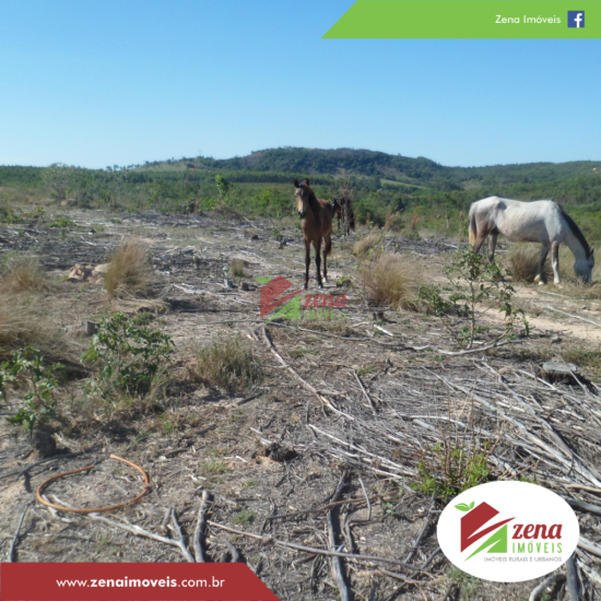 fazenda-venda-formiga-1065421