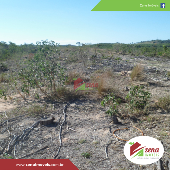 fazenda-venda-formiga-1065422