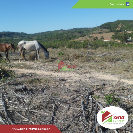 fazenda-venda-formiga-1065423