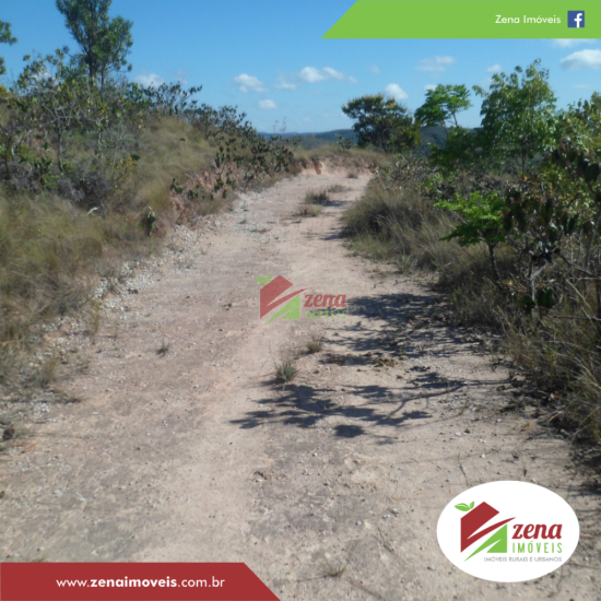 fazenda-venda-formiga-1065424