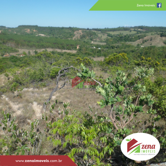 fazenda-venda-formiga-1065425