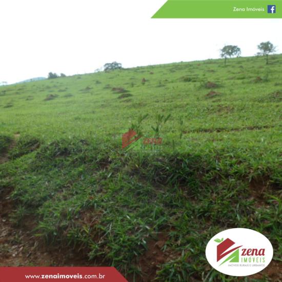 fazenda-venda-corrego-do-atalho-924546